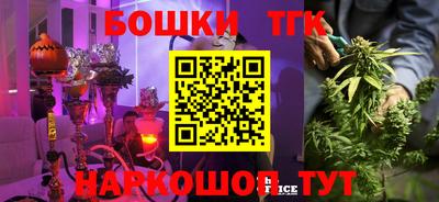 крисы Балаково