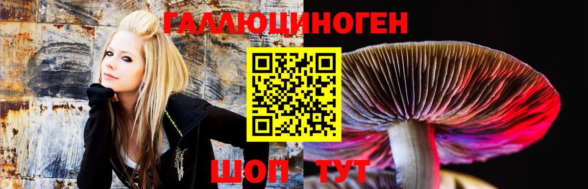 наркошоп  Богородск  Галлюциногенные грибы мицелий 